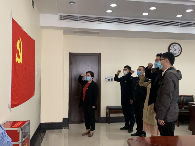 向党旗宣誓仪式