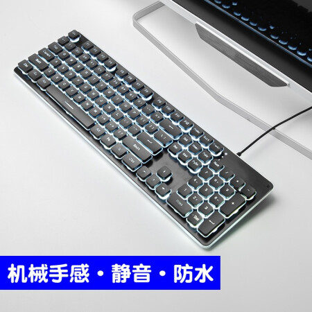 d546-kfnaptu5962185.jpg