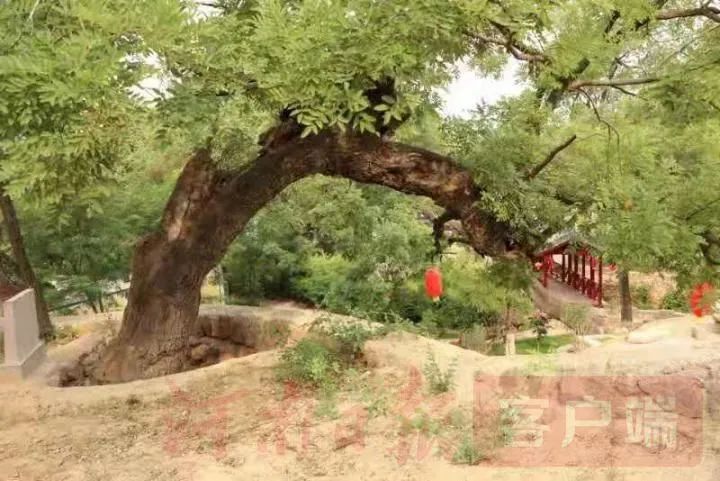 平顶山郏县王英沟人口_平顶山郏县县城地图