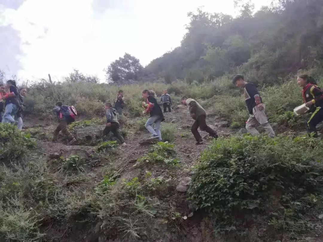 什么叫做自强不息 3377-kfxsuvw5541391.jpg