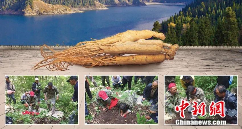 桦甸人口_桦甸一中(3)