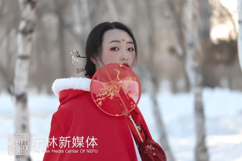 汉服冬季穿搭0度,汉服冬季穿搭0度可以穿吗