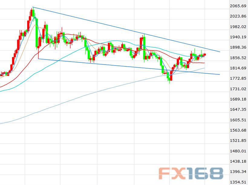 (现货黄金日线图,来源:FX168)