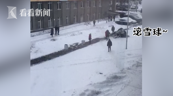 俄罗斯大象搬家逃到雪地撒欢 马戏团:它看到雪想散步