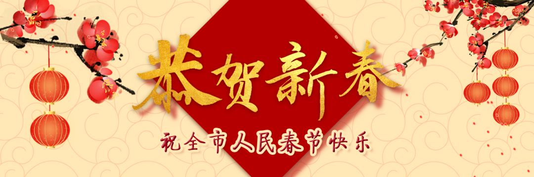 全市人民及广大网友,泽华书记、伟汉市长给您拜年啦!