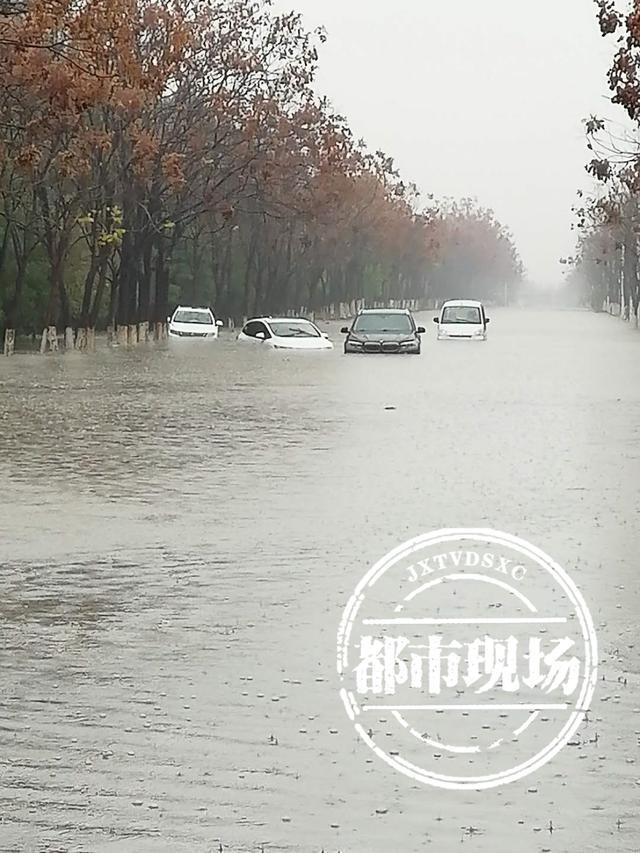 除夕回家 天气寒冷 4辆车却在大马路上泡了个“冷水澡”?