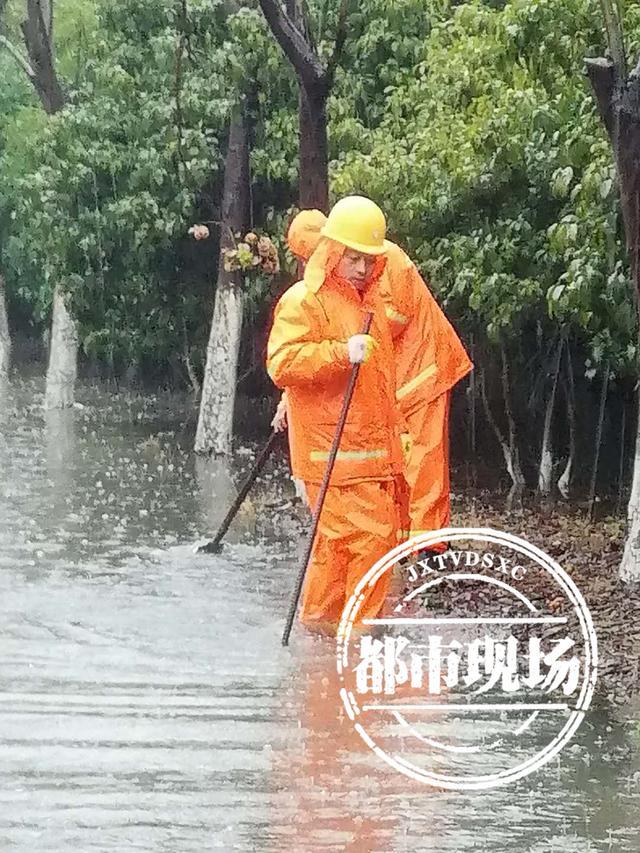 除夕回家 天气寒冷 4辆车却在大马路上泡了个“冷水澡”?