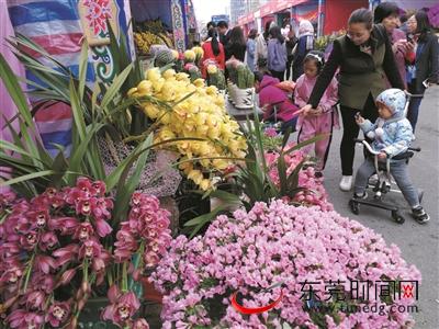 2020年春节花市提前收市