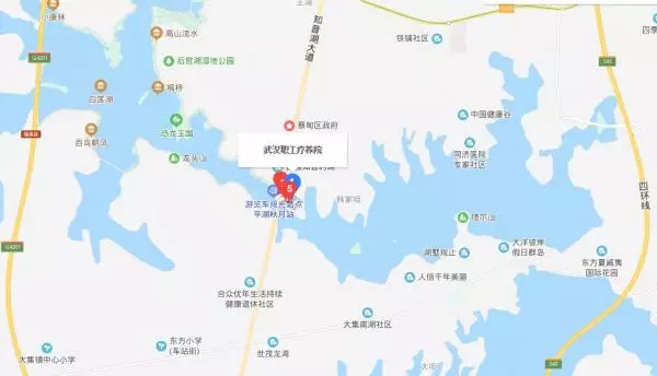 火神山医院建设位置。 武汉市政府新闻办官方微信公众号图
