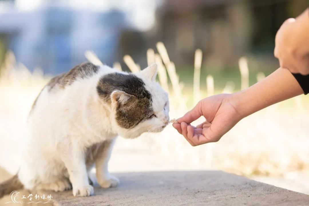 gdp查询小程序(2)