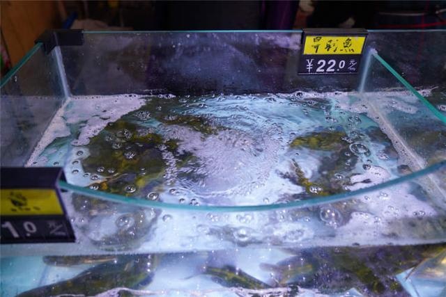 年味食足丨上海味道、重庆味道、苏州味道……曹家街生鲜菜场统统都能买到