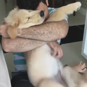 千万别乱摸狗砸,如果你不小心摸到了抖jio开关.