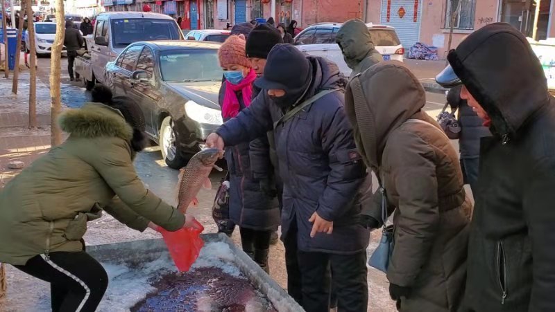 大年三十的五指山早市，一群人围在一起询问活鱼价格，水上浮了厚厚的一层冰。新京报记者 李云蝶 摄
