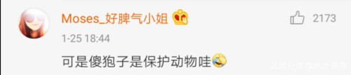 东北人在线委屈:我们也不吃野味啊,野味不吃我们就不错了