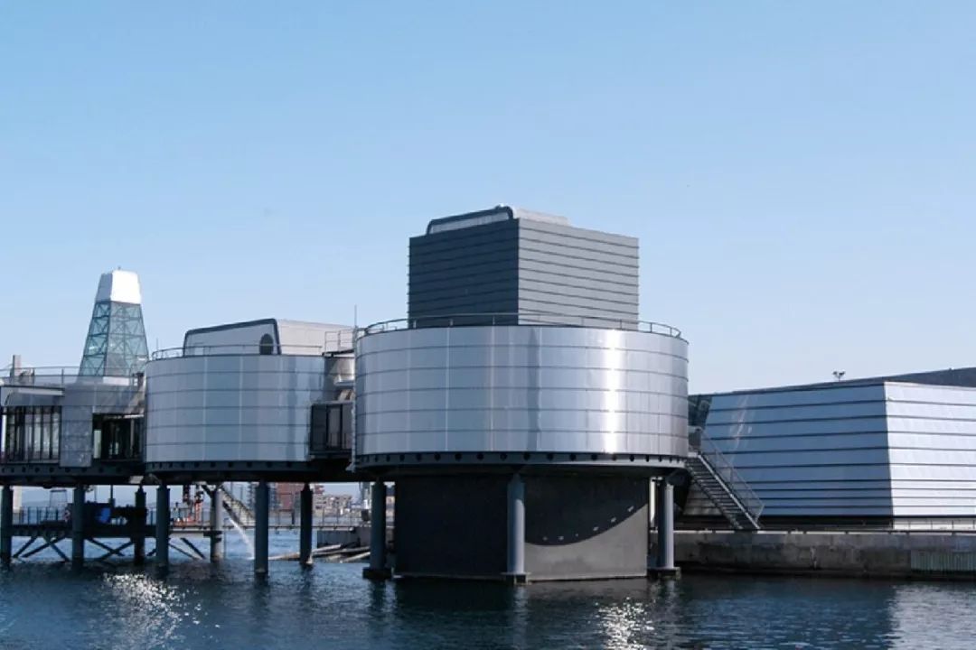 世界绝美鲸鱼建筑!挪威新地标 The Whale 游客中心