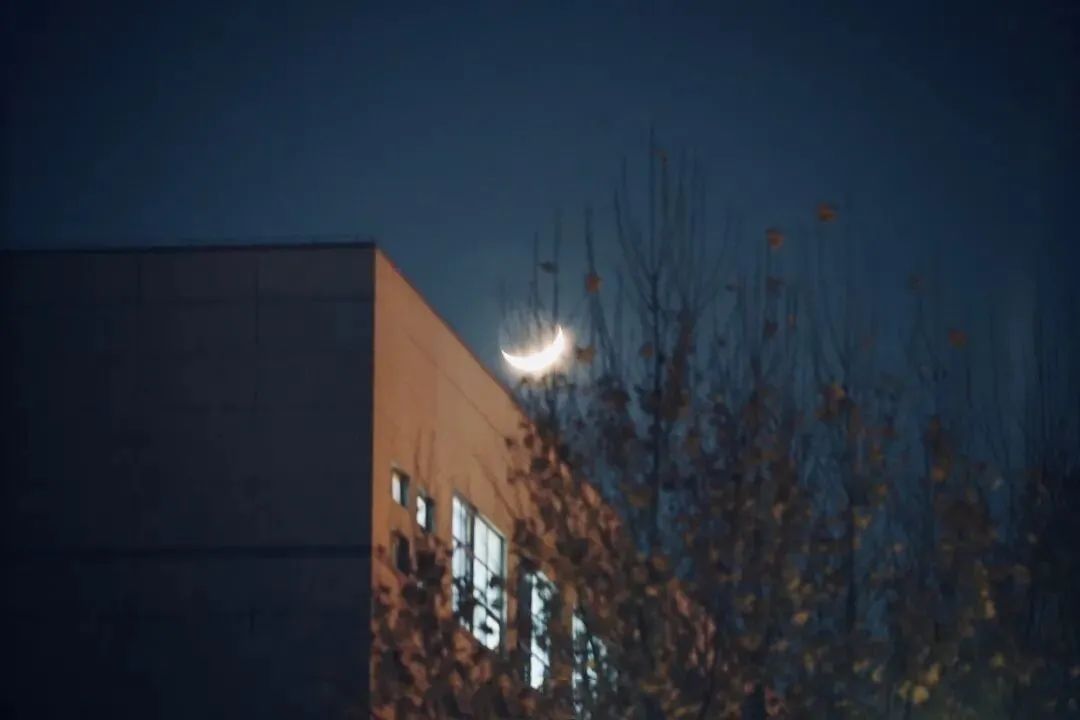 成语什么义执_成语故事图片(2)