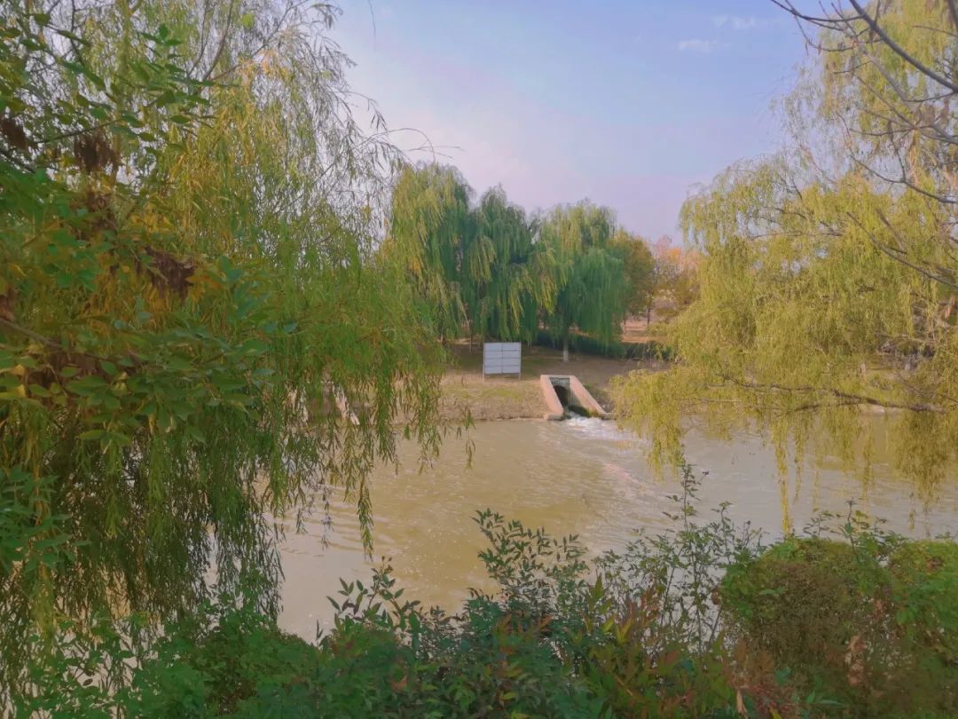 河什么树成语_成语故事图片(3)