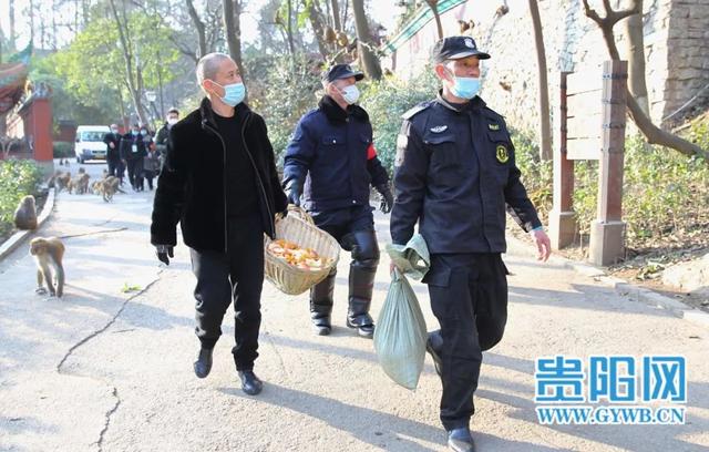 投食的工作人員 圖源:貴陽網