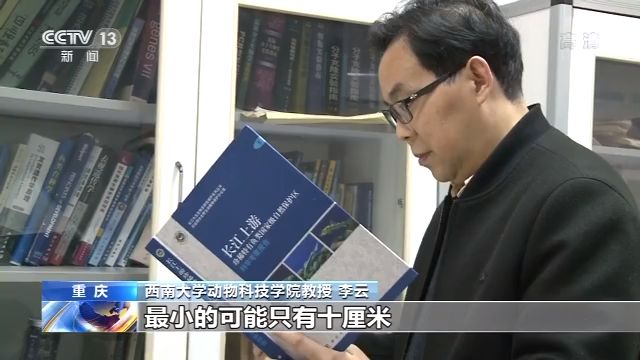 生态之危：从未遇见长江白鲟 听闻已是永别