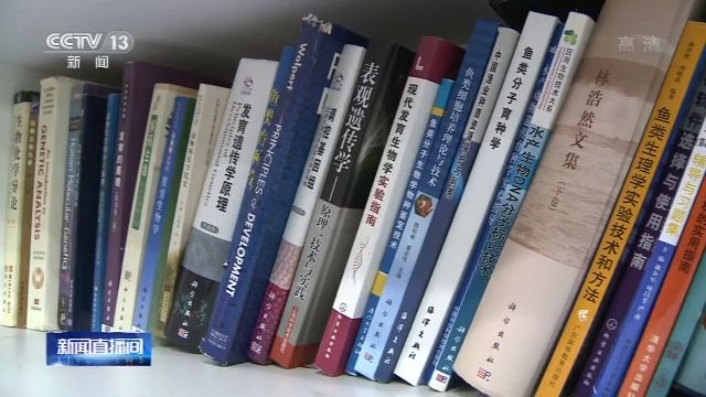 生态之危：从未遇见长江白鲟 听闻已是永别