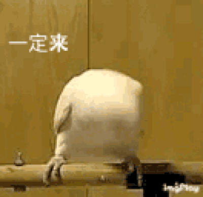 迷惑先生:人的本质是鸽子,咕咕咕.