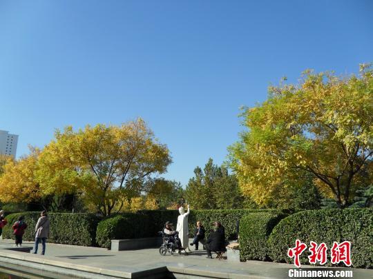 资料图:河北现蓝天,老人们在公园里悠闲地享受着好天气。 刘明怡 摄