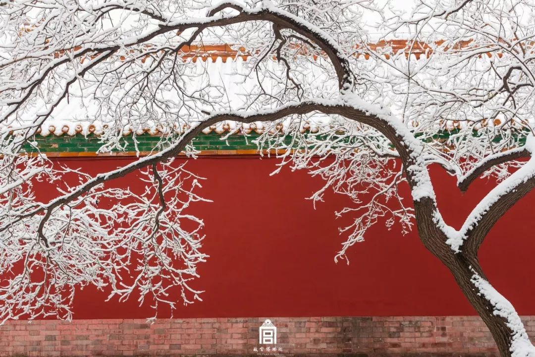 在故宫上班是种什么体验?那些刷屏的美照是他拍