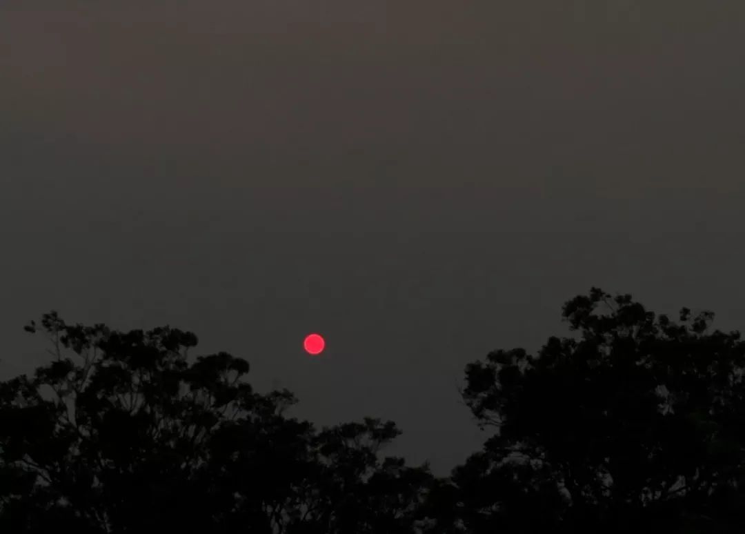  受山火灾害影响，悉尼的太阳变成“红日”。/ 小程的朋友小吕供图