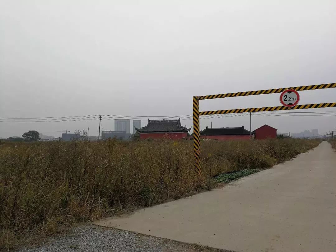 百亿投资,工厂杂草丛生,“中国版特斯拉”沦为“第二个乐视” 今日沸点 百亿投资,工厂杂草丛生,“中国版特斯拉”沦为“第二个乐视” 今日沸点