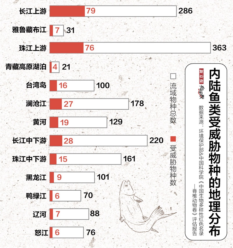  鱼的消失静悄悄