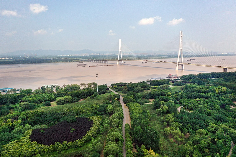  江苏南京雨花台区辖区内的三桥湿地公园毗邻南京长江第三大桥