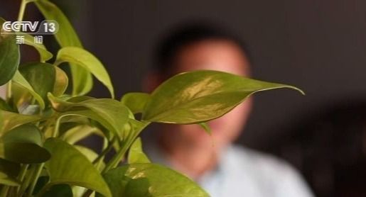 女子千万存款不翼而飞 银行为推卸责任一连串操