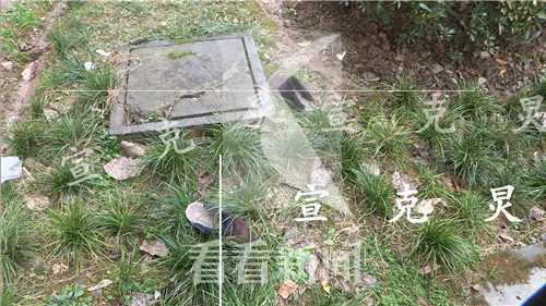 上海男子雨天擦窗 与防盗窗整体掉下坠亡