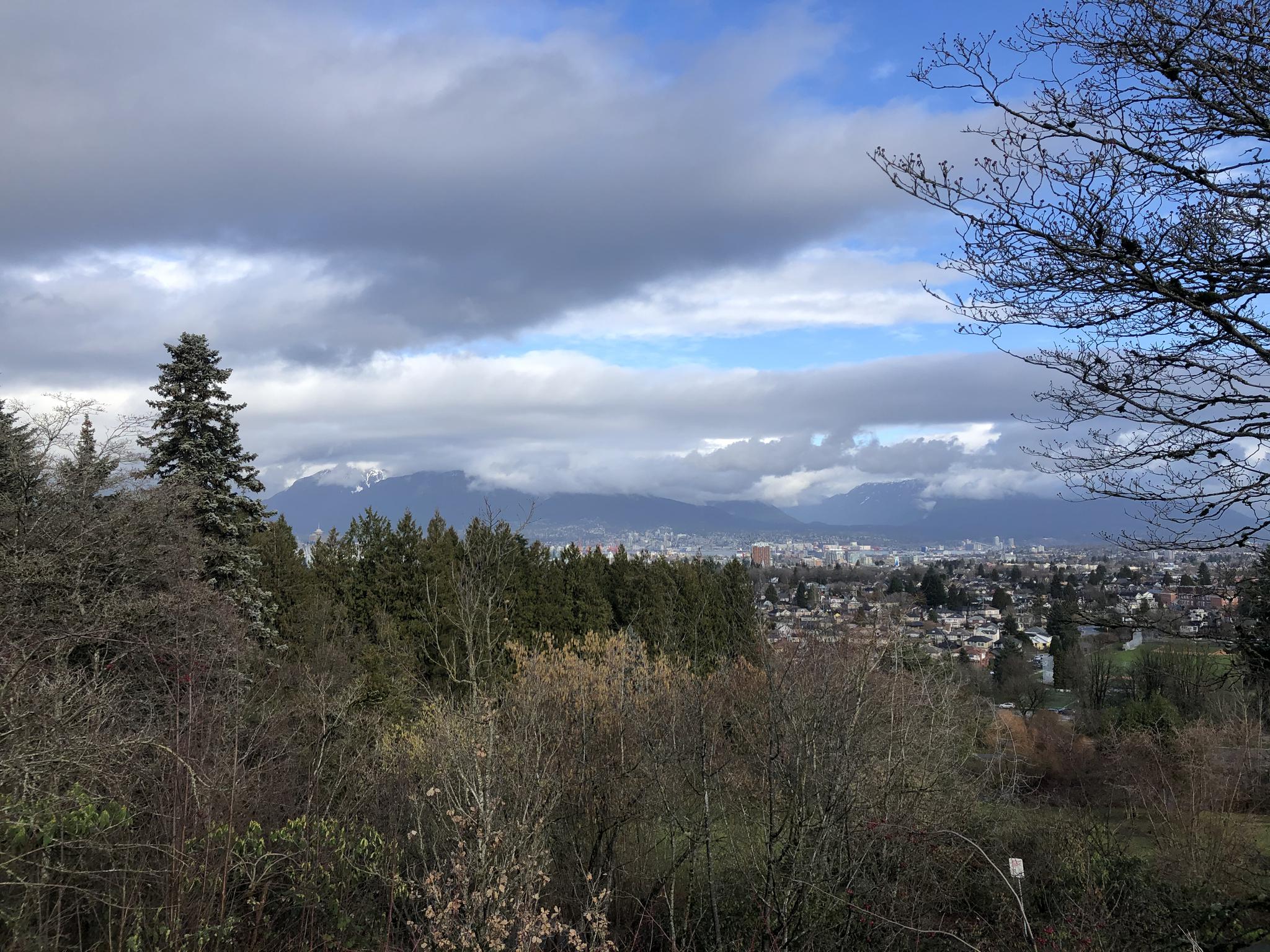 温哥华有多少人口_温哥华岛狼(2)