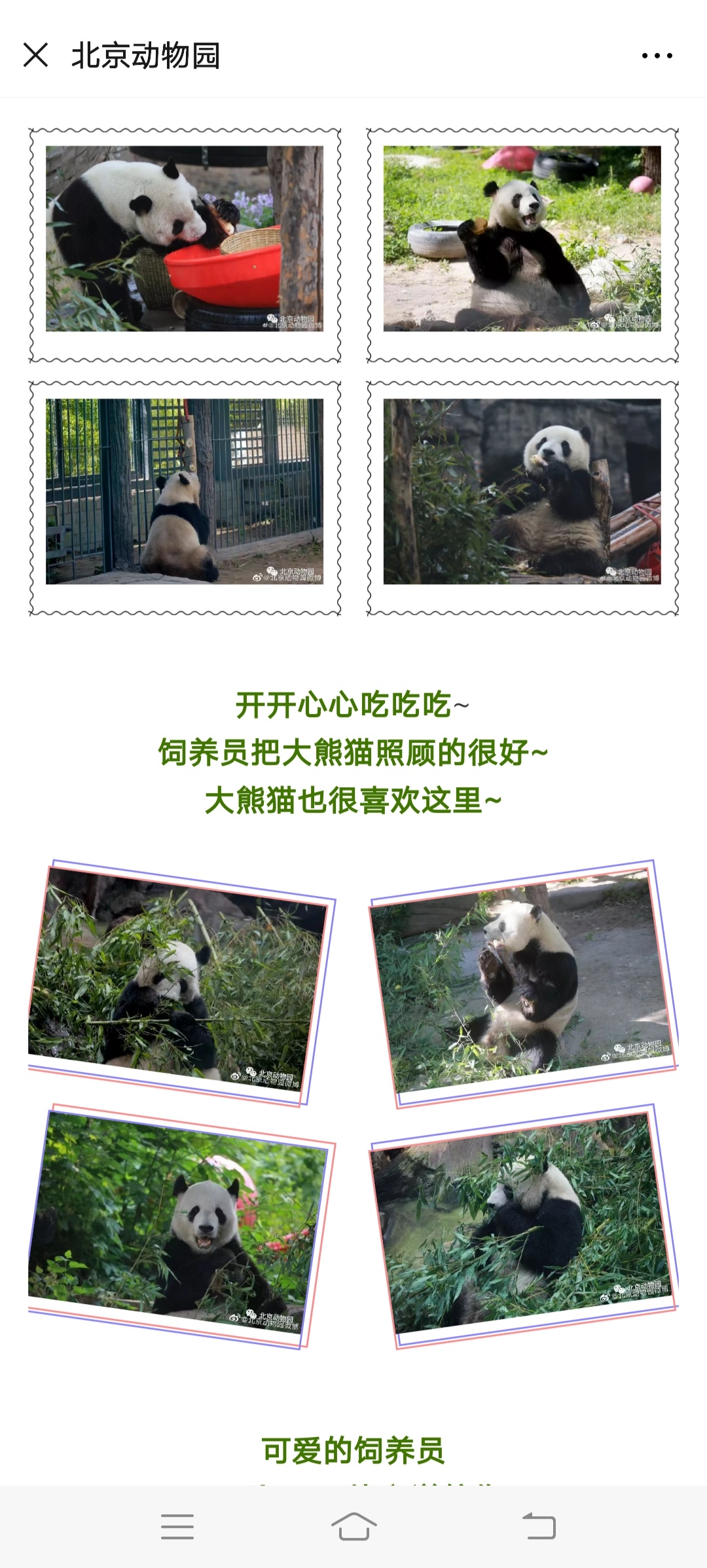 没有了游客,动物过得怎么样?记者“探秘”闭园后的北京动物园