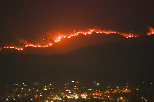 英媒：澳大利亚称113种动物需紧急帮助才能生存