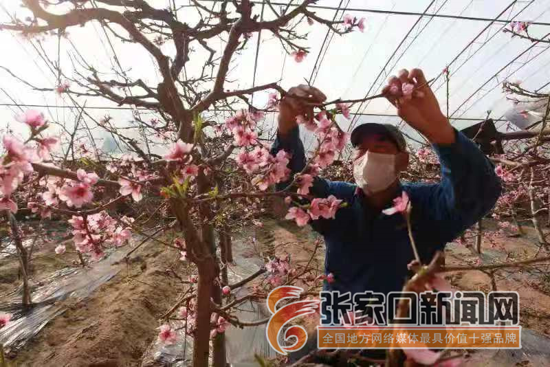 顺义南桃园村人口_桃园三结义图片(2)