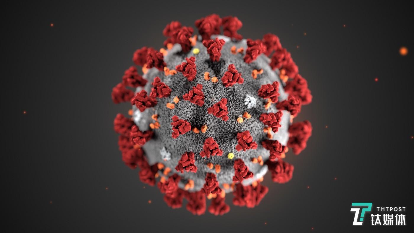 新冠病毒被正式命名为SARS-CoV-2，命名乱象终止