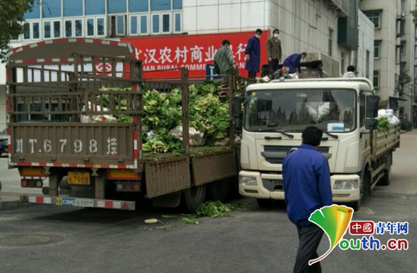 图为正在装卸捐赠蔬菜。四川农业大学供图