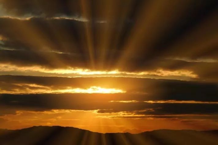 蓝鲸真实有多大 5593-ipmxpvz2630024.jpg