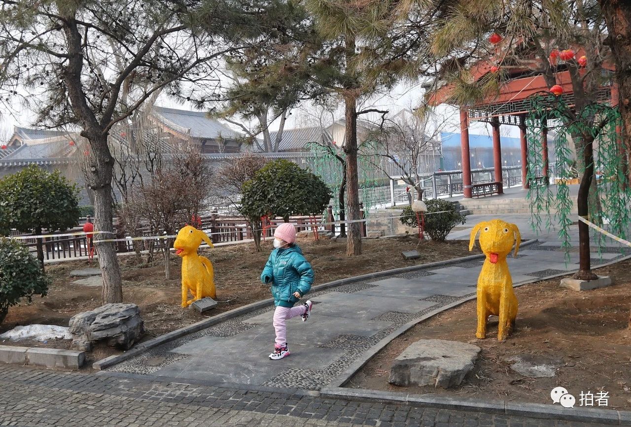 △ 2月12日,福祥 社区。,小同伙在通惠河玉河遗址旁跑步磨炼。拍照/新京报记者王贵彬
