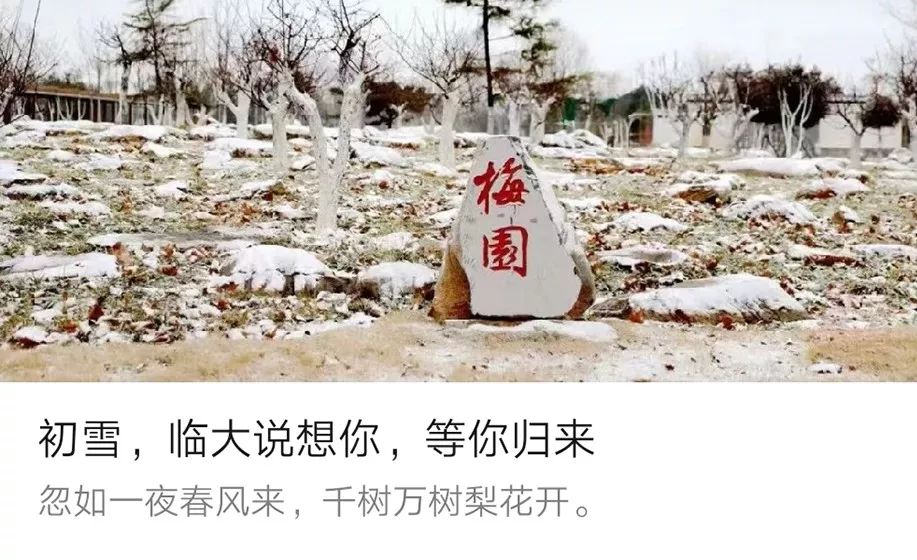 疫情防控,临大初雪,艺术展览||临沂大学新媒体影响力一月排行榜