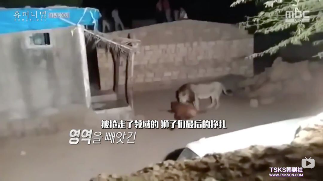 《寄生虫》之后,韩国又一次走在了我们前面 《寄生虫》之后,韩国又一次走在了我们前面
