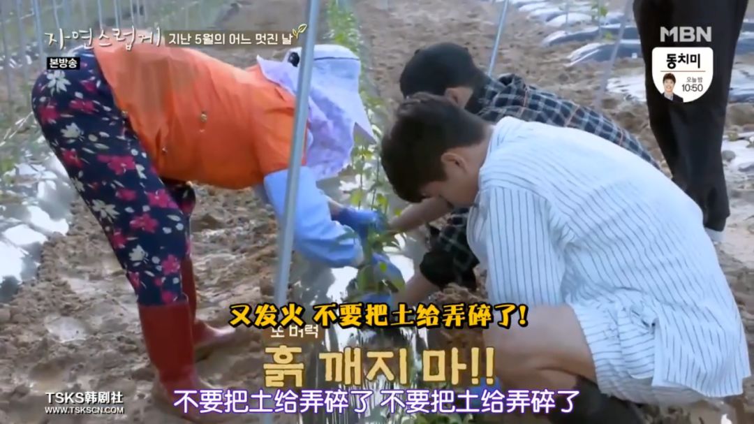 这综艺我酸了,6块人民币拥有一套别墅 这综艺我酸了,6块人民币拥有一套别墅