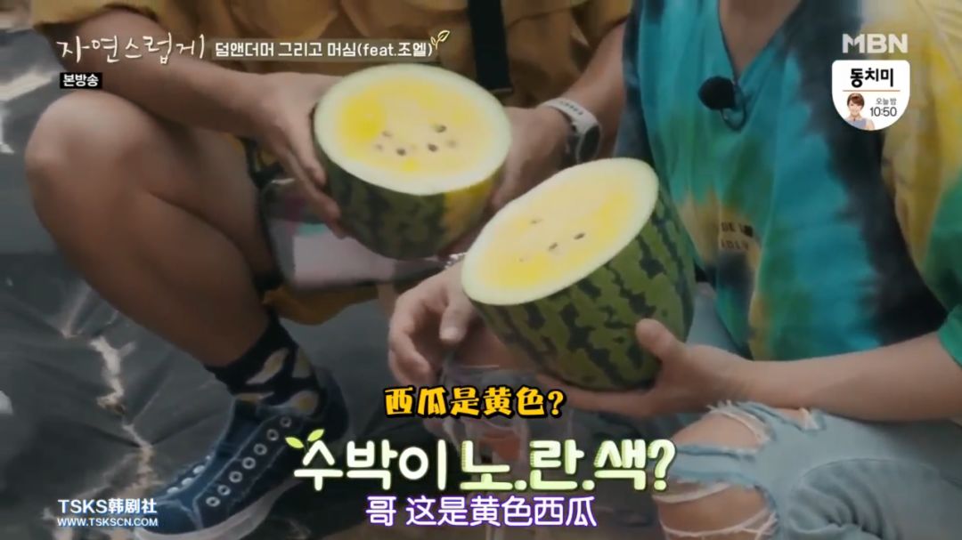 这综艺我酸了,6块人民币拥有一套别墅 这综艺我酸了,6块人民币拥有一套别墅