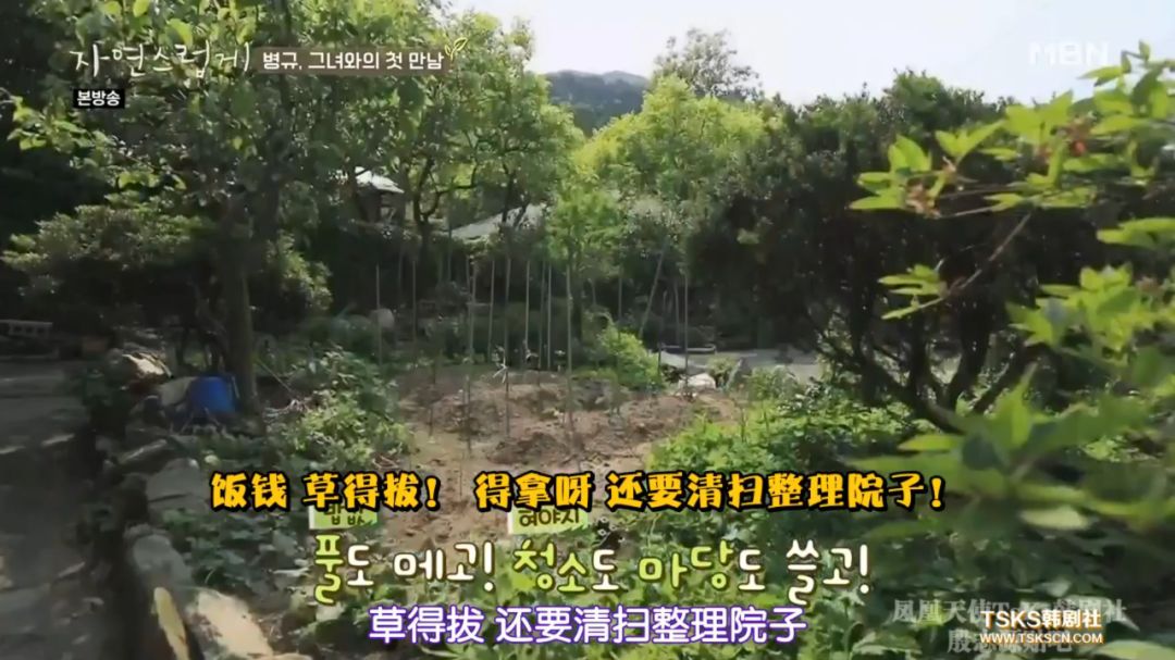 这综艺我酸了,6块人民币拥有一套别墅 这综艺我酸了,6块人民币拥有一套别墅
