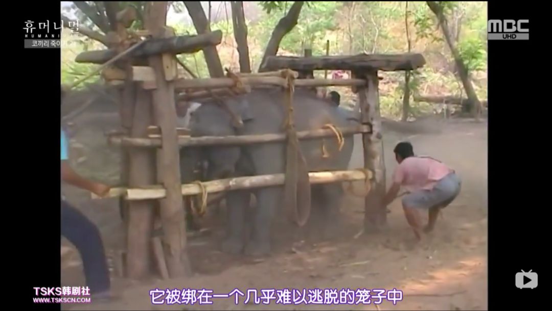 《寄生虫》之后,韩国又一次走在了我们前面 《寄生虫》之后,韩国又一次走在了我们前面