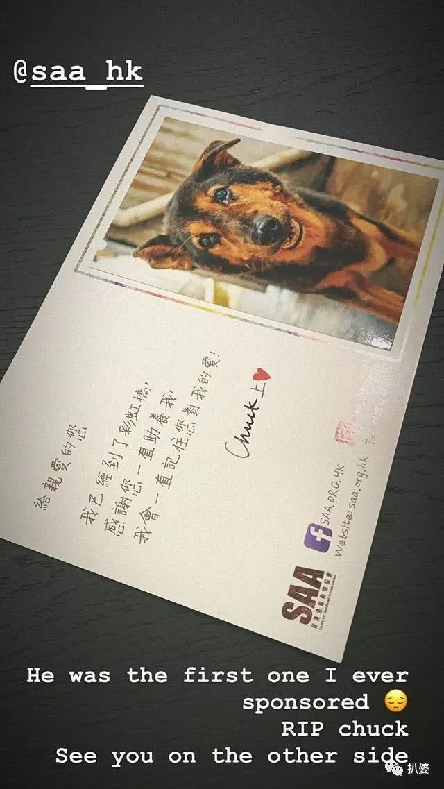 新一代人夫杀手?神奇的黄心颖又被拍到和已婚男星约会了...
