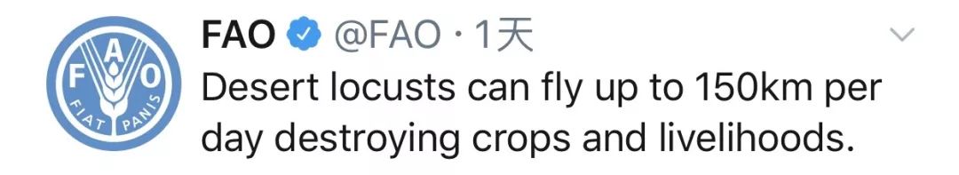 东非沙漠蝗虫肆虐 上千万民众陷缺粮危机