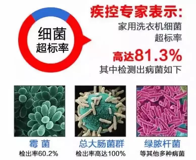 洗衣机比马桶脏n倍!你需要这款抑菌率95.7%的清洁剂